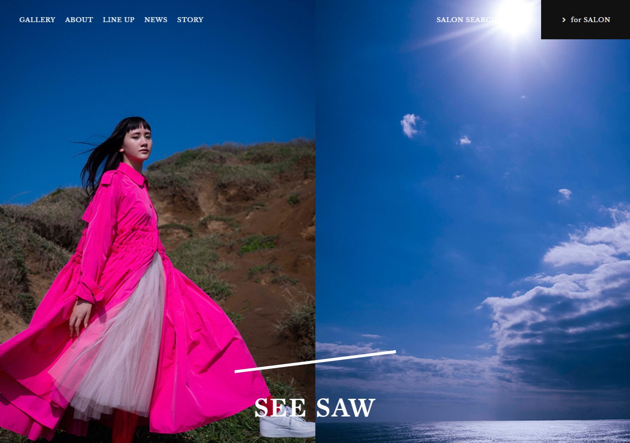 SEE/SAW