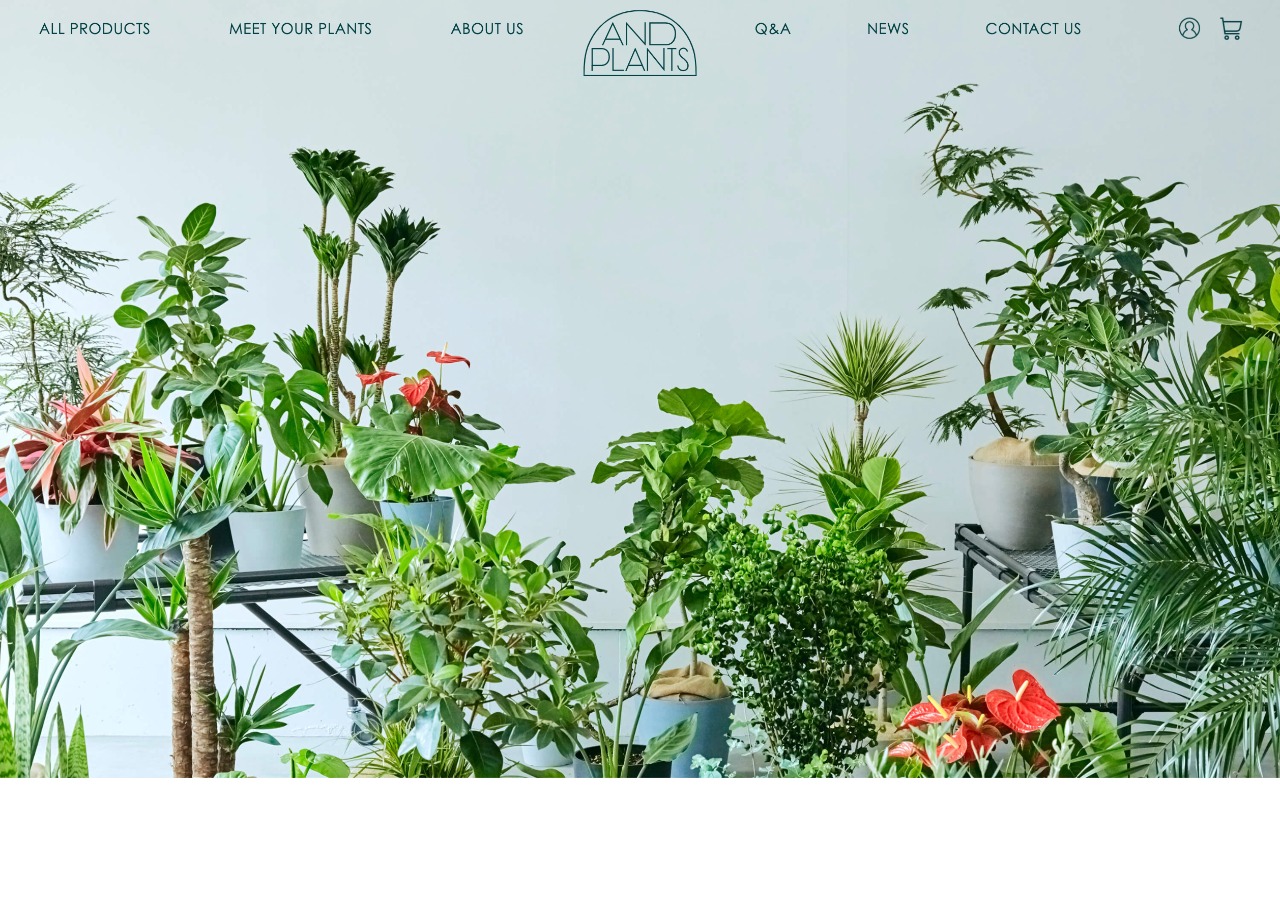 観葉植物・インテリアブランド「AND PLANTS」