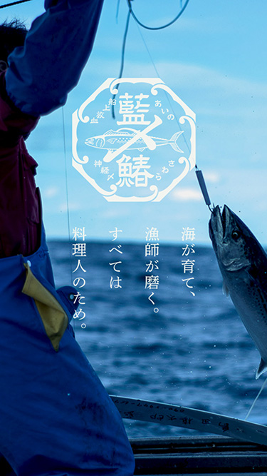 藍の鰆 | 福岡県北九州市 藍の海から
